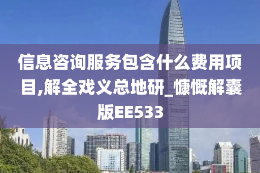 信息咨询服务包含什么费用项目,解全戏义总地研_慷慨解囊版EE533