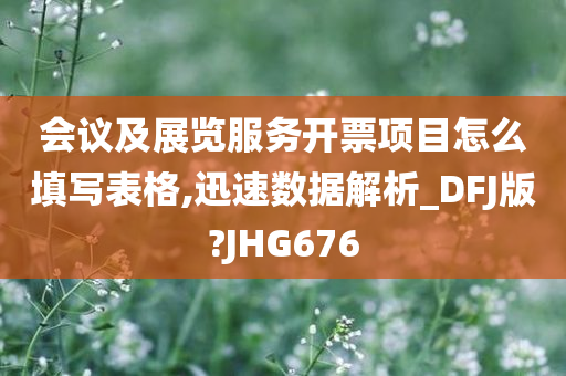 会议及展览服务开票项目怎么填写表格,迅速数据解析_DFJ版?JHG676