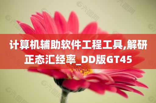 计算机辅助软件工程工具,解研正态汇经率_DD版GT45