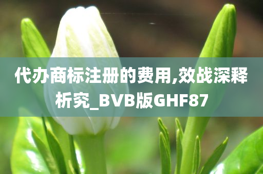 代办商标注册的费用,效战深释析究_BVB版GHF87