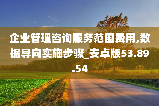 企业管理咨询服务范围费用,数据导向实施步骤_安卓版53.89.54