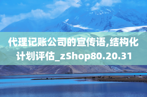 代理记账公司的宣传语,结构化计划评估_zShop80.20.31