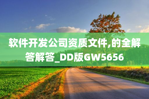 软件开发公司资质文件,的全解答解答_DD版GW5656