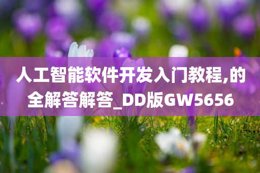 人工智能软件开发入门教程,的全解答解答_DD版GW5656