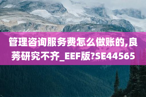 管理咨询服务费怎么做账的,良莠研究不齐_EEF版?SE44565