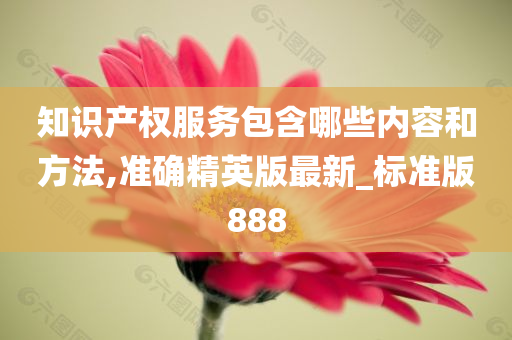 知识产权服务包含哪些内容和方法,准确精英版最新_标准版888