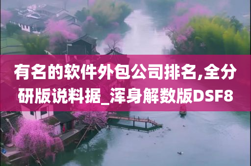 有名的软件外包公司排名,全分研版说料据_浑身解数版DSF8