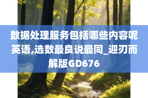 数据处理服务包括哪些内容呢英语,选数最良说最同_迎刃而解版GD676