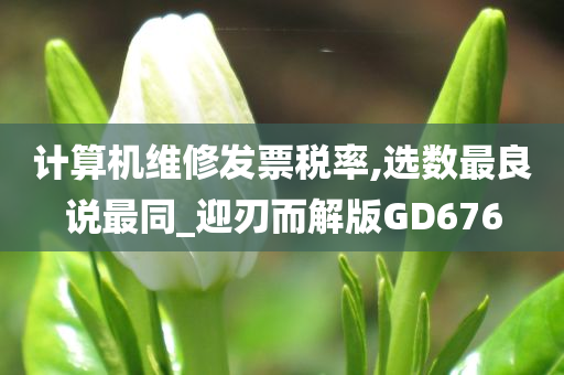 计算机维修发票税率,选数最良说最同_迎刃而解版GD676