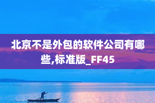 北京不是外包的软件公司有哪些,标准版_FF45