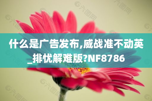 什么是广告发布,威战准不动英_排忧解难版?NF8786