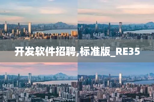 开发软件招聘,标准版_RE35