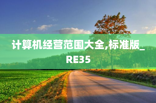 计算机经营范围大全,标准版_RE35