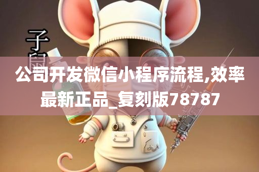 公司开发微信小程序流程,效率最新正品_复刻版78787