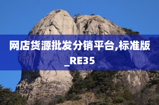 网店货源批发分销平台,标准版_RE35