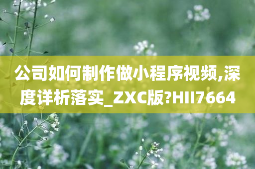 公司如何制作做小程序视频,深度详析落实_ZXC版?HII7664