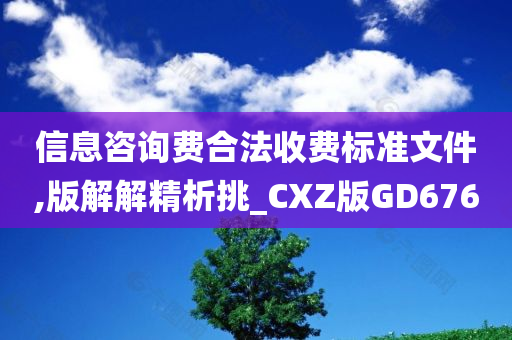 信息咨询费合法收费标准文件,版解解精析挑_CXZ版GD676