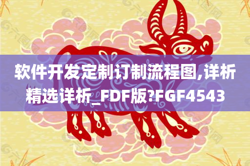 软件开发定制订制流程图,详析精选详析_FDF版?FGF4543