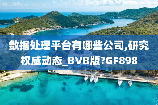 数据处理平台有哪些公司,研究权威动态_BVB版?GF898