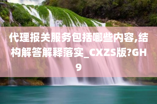 代理报关服务包括哪些内容,结构解答解释落实_CXZS版?GH9