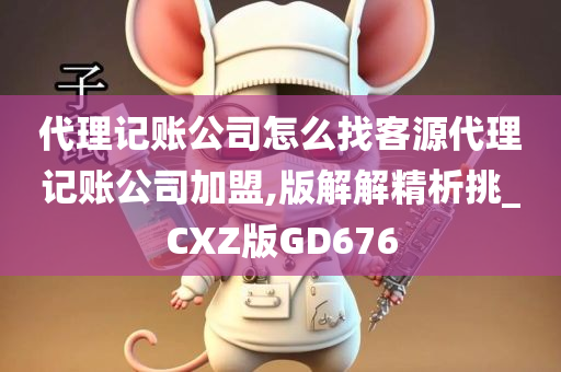 代理记账公司怎么找客源代理记账公司加盟,版解解精析挑_CXZ版GD676