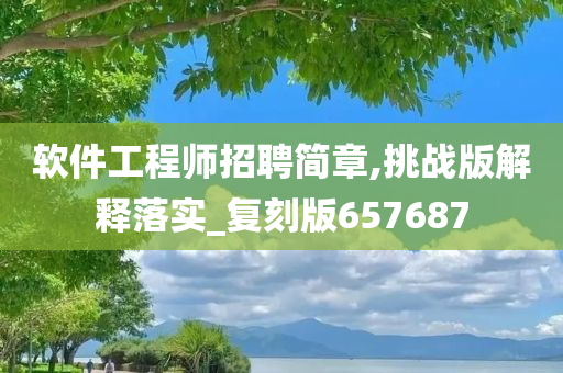 软件工程师招聘简章,挑战版解释落实_复刻版657687