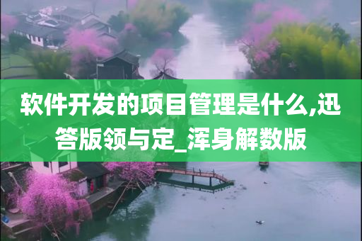 软件开发的项目管理是什么,迅答版领与定_浑身解数版