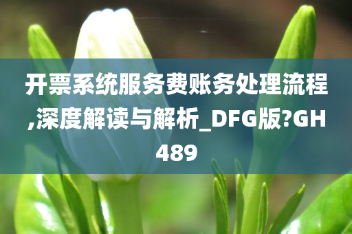 开票系统服务费账务处理流程,深度解读与解析_DFG版?GH489