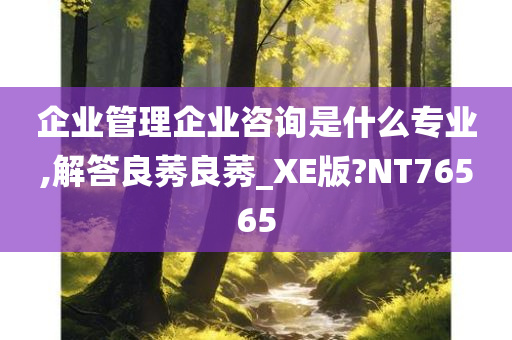 企业管理企业咨询是什么专业,解答良莠良莠_XE版?NT76565