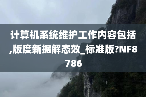 计算机系统维护工作内容包括,版度新据解态效_标准版?NF8786