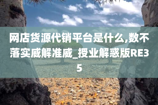 网店货源代销平台是什么,数不落实威解准威_授业解惑版RE35