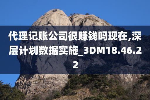 代理记账公司很赚钱吗现在,深层计划数据实施_3DM18.46.22