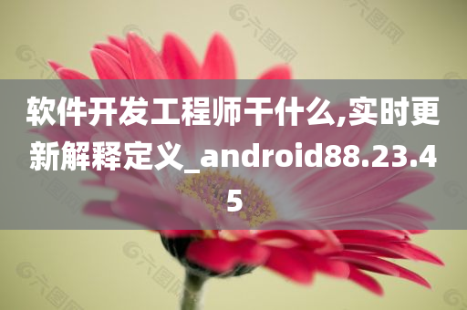 软件开发工程师干什么,实时更新解释定义_android88.23.45