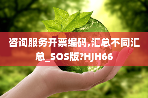 咨询服务开票编码,汇总不同汇总_SOS版?HJH66