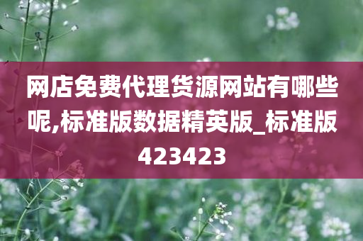 网店免费代理货源网站有哪些呢,标准版数据精英版_标准版423423