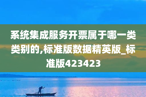 系统集成服务开票属于哪一类类别的,标准版数据精英版_标准版423423