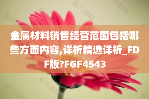 金属材料销售经营范围包括哪些方面内容,详析精选详析_FDF版?FGF4543