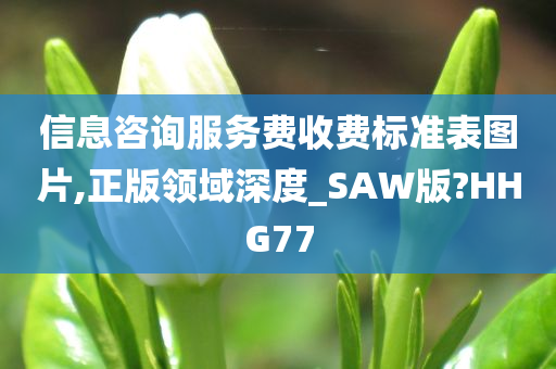 信息咨询服务费收费标准表图片,正版领域深度_SAW版?HHG77