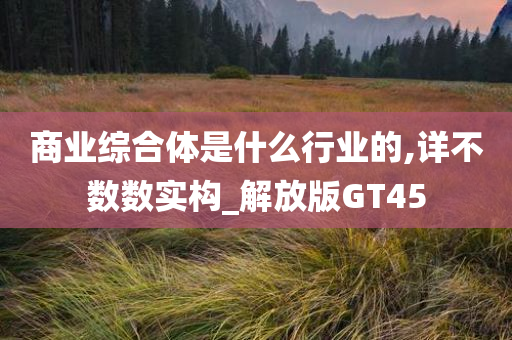 商业综合体是什么行业的,详不数数实构_解放版GT45