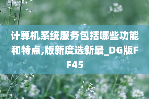 计算机系统服务包括哪些功能和特点,版新度选新最_DG版FF45