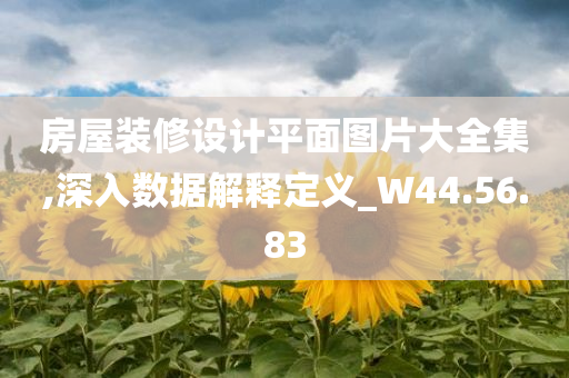 房屋装修设计平面图片大全集,深入数据解释定义_W44.56.83