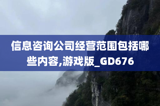 信息咨询公司经营范围包括哪些内容,游戏版_GD676