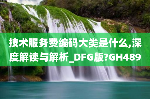 技术服务费编码大类是什么,深度解读与解析_DFG版?GH489