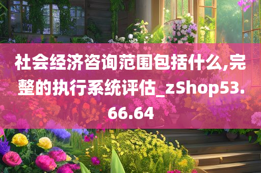 社会经济咨询范围包括什么,完整的执行系统评估_zShop53.66.64