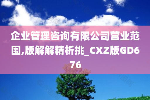 企业管理咨询有限公司营业范围,版解解精析挑_CXZ版GD676