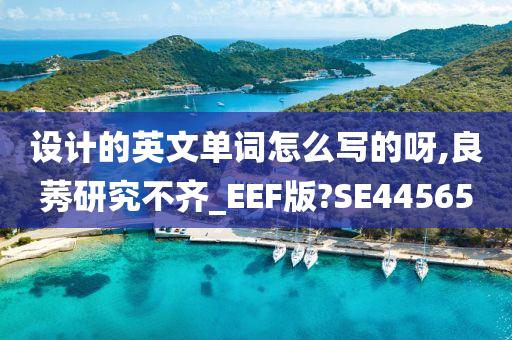 设计的英文单词怎么写的呀,良莠研究不齐_EEF版?SE44565