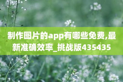 制作图片的app有哪些免费,最新准确效率_挑战版435435