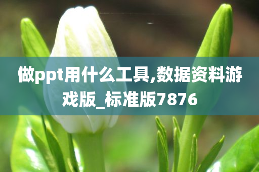 做ppt用什么工具,数据资料游戏版_标准版7876