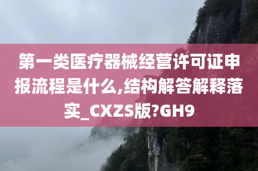 第一类医疗器械经营许可证申报流程是什么,结构解答解释落实_CXZS版?GH9