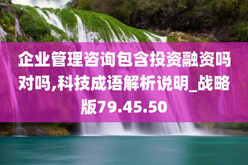 企业管理咨询包含投资融资吗对吗,科技成语解析说明_战略版79.45.50